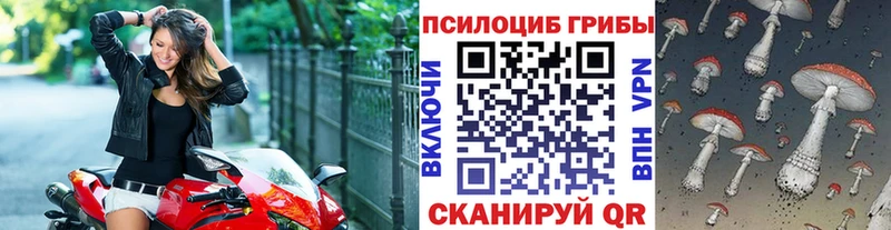 наркотики Ханты-Мансийск Галлюциногенные грибы Psilocybe