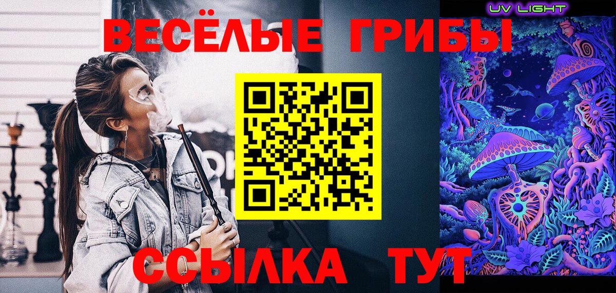 купить наркотики цена  Галлюциногенные грибы мицелий  Ханты-Мансийск  Вход с VPN  Галлюциногенные грибы Psilocybine cubensis 